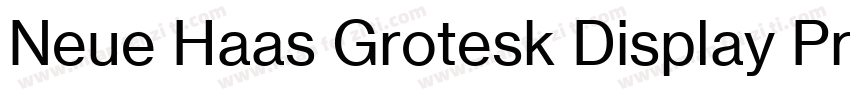 Neue Haas Grotesk Display Pro 25字体转换